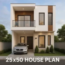 Modern 25x50 House Plan