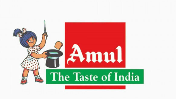financial structure of Amul