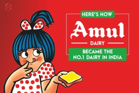 financial structure of Amul