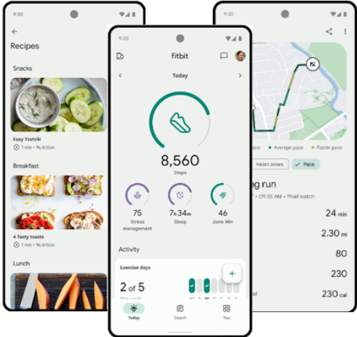 Fitbit App
